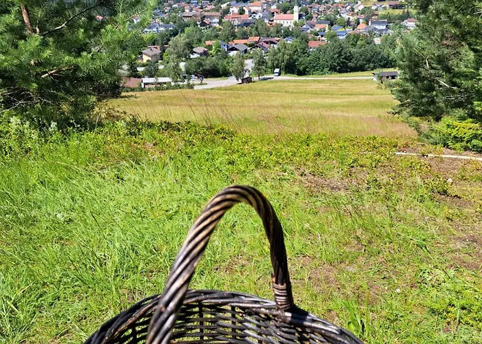 Διαμέρισμα Wohlfuehlapartment Erlenberg Thurmansbang