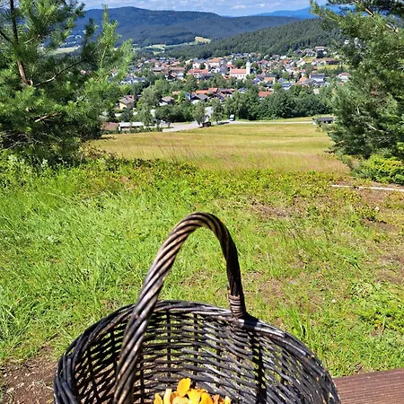 Apartmán Wohlfuehlapartment Erlenberg Thurmansbang